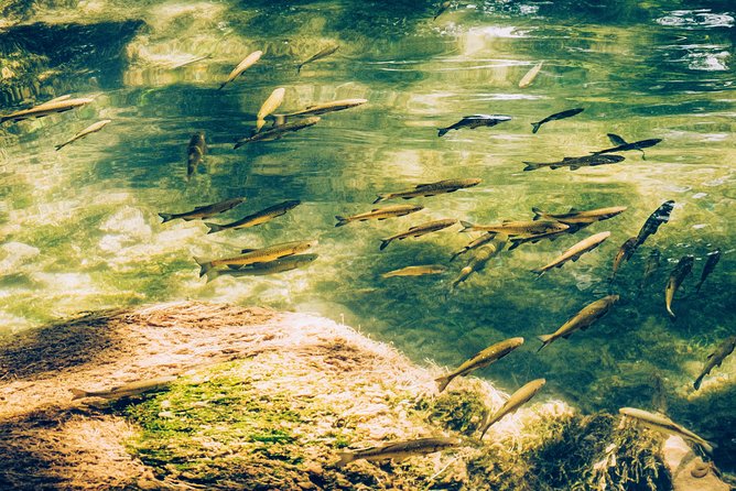 Private Transfer From Zadar to Zagreb via Plitvice Lakes Guided Tour - Traveler Requirements and Policies