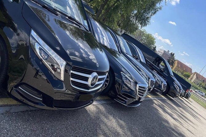 Private Transfer From Zurich Airport to Lucerne - Customer Reviews