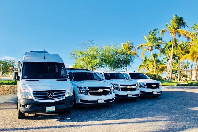 Private Transfer - Hamilton Cruise Port to Bermuda Island Hotels - Accessibility and Accommodations