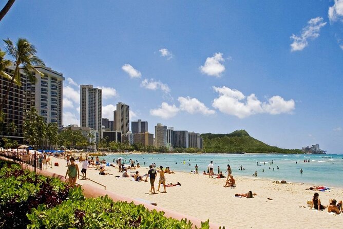 Private Transfer: Honolulu to Honolulu Airport HNL in Sedan Car - Complimentary Wait Time and Assistance