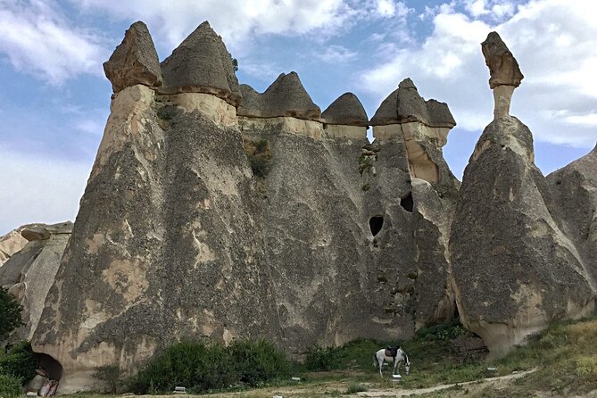 Private Transfer: Kayseri Airport ASR to Cappadocia by Luxury Van - Included Amenities