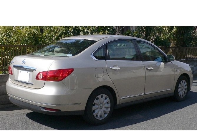 Private Transfer Kingston Airport to Hilton Rose Hall - Transportation Details
