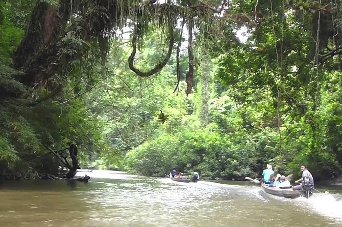 Private Transfer: Kuala Lumpur to Taman Negara National Park (Kuala Tahan Jetty) - Cancellation and Refund Policy