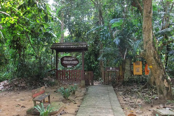 Private Transfer: Kuala Lumpur to Taman Negara National Park (Kuala Tahan Jetty) - Customer Review Summary