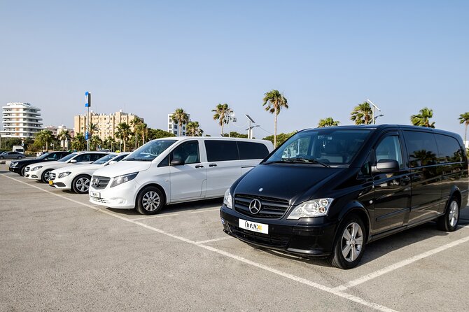 Private Transfer: Larnaca Airport to Protaras 1-14 Pax - Animal Policy