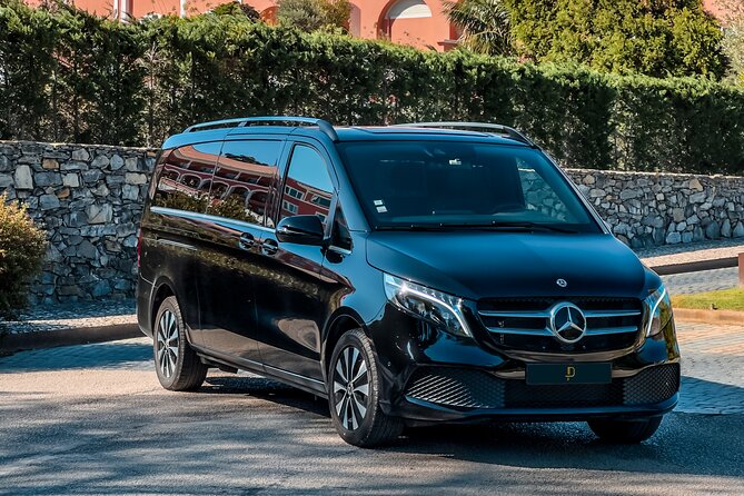 Private Transfer: Lisbon Airport to Lisbon - Accessibility Features