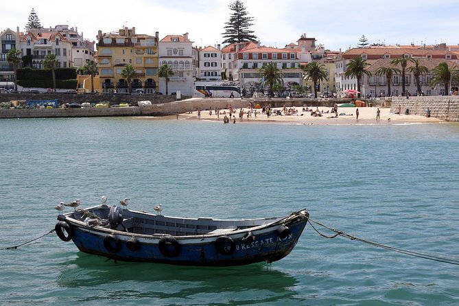Private Transfer: Lisbon Airport to Sintra,Cascais and Estoril - Vehicle and Amenities