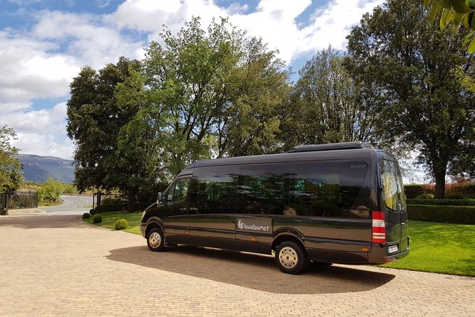 Private Transfer Madrid Barajas Airport to Madrid in Vans up to 7 Passengers - Pricing and Inclusions