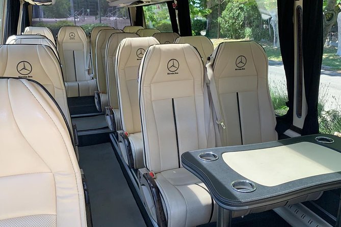 Private Transfer Madrid Barajas Airport to Madrid in Vans up to 7 Passengers - Accessibility and Amenities