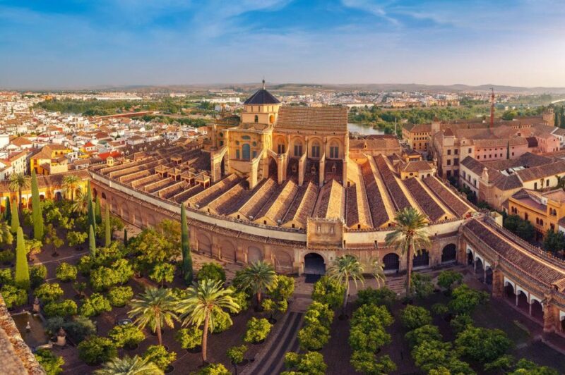 Private Transfer Malaga Airport to Marbella - Driver Details