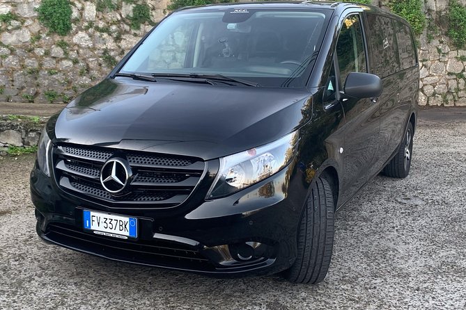 Private Transfer Naples to Sorrento Stop to Pompeii and Pizza - Customer Feedback