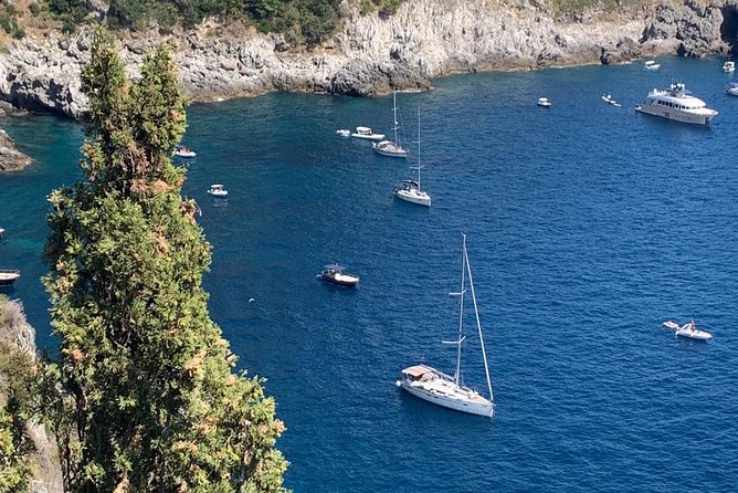 Private Transfer Naples to Sorrento Stop to Pompeii and Pizza - Dining and Pizza