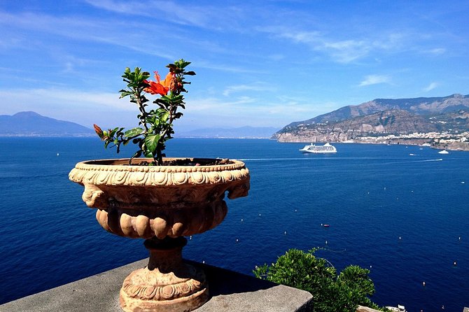 Private Transfer-Naples to Sorrento With 2h of Sightseeing: Vesuvius or Pompeii - Accessibility Details