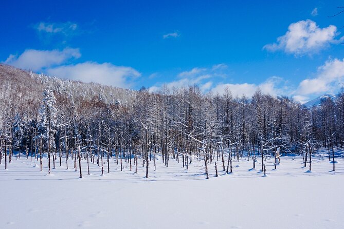 Private Transfer New Chitose Airport to Hokkaido Attractions - Group Size and Capacity