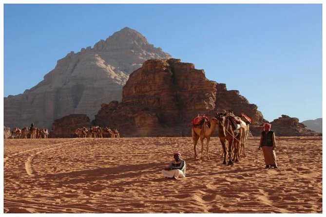 Private Transfer Petra To/From Wadi Rum - Accessibility and Participation