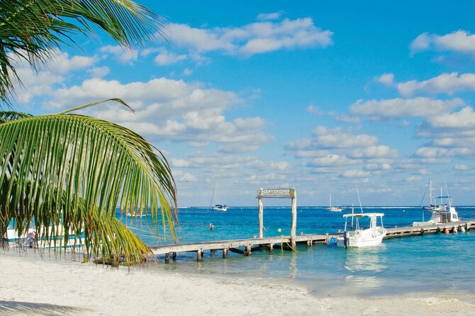 Private Transfer: Playa Del Carmen to Cancun Airport CUN in SUV - Operator Information