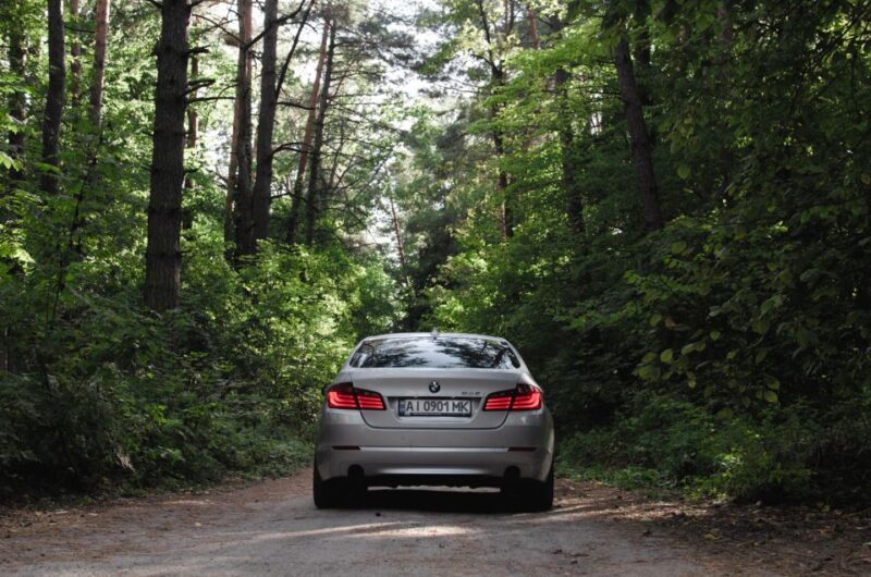 Private Transfer:- Pokhara to Chitwan (Sauraha) by Car - Destination Highlights