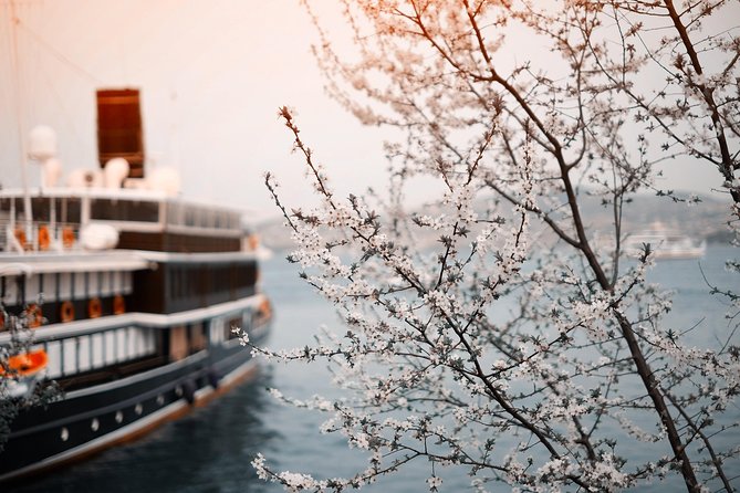 Private Transfer-Prague to River Cruise Dock Nuremberg: Port / Harbor Transport - Transfer Overview