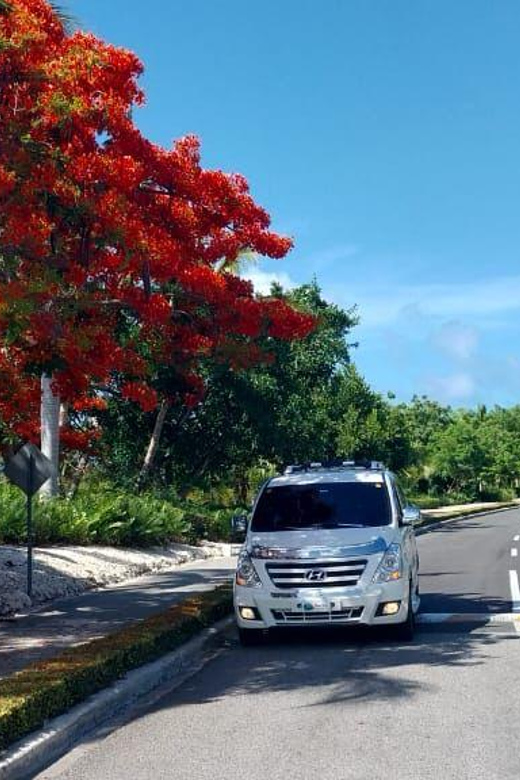 Private Transfer Punta Cana Airport to Barcelo Bavaro Palace - Vehicle and Amenities