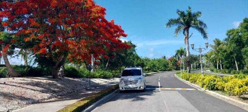 Private Transfer Punta Cana Airport to Excellence Punta Cana - Key Points