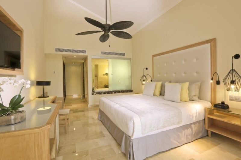 Private Transfer Punta Cana Airport to Grand Palladium P. - Inclusions