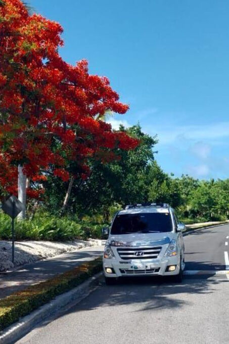 Private Transfer Punta Cana Airport to Grand Palladium PC - Recap