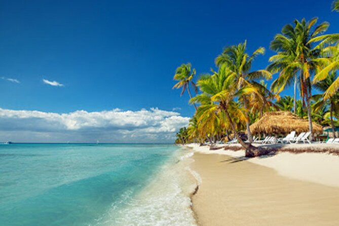 Private Transfer: Punta Cana or Bavaro to Punta Cana Airport PUJ in Van - Booking Process and Options
