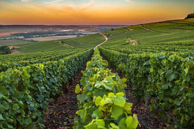 Private Transfer: Reims / Champagne to Paris Airport CDG by Van - Reviews and Ratings