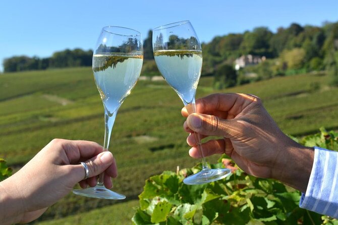 Private Transfer: Reims / Champagne to Paris Airport CDG by Van - Vehicle Options