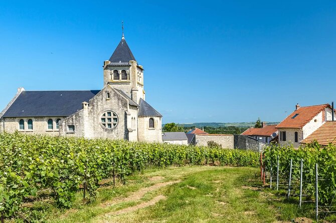 Private Transfer: Reims / Champagne to Paris Airport CDG by Van - Since You Asked