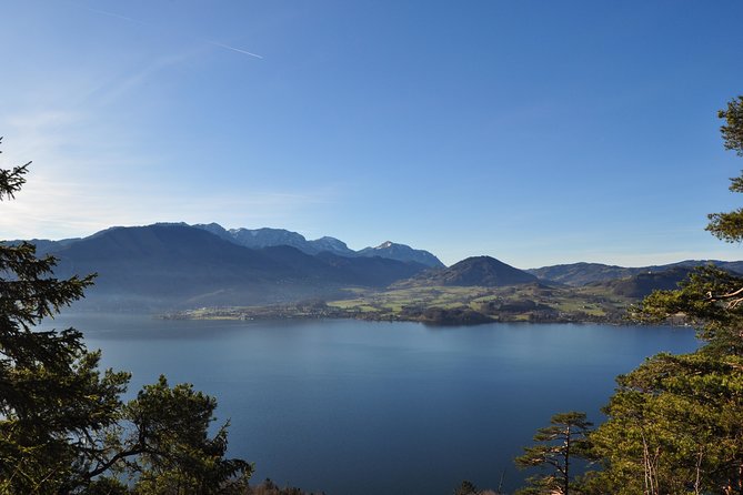 Private Transfer: Salzburg to Vienna - Highlights of the Journey