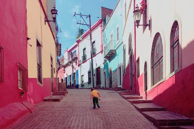Private Transfer San Miguel De Allende-Guanajuato City, English Speaking Driver - Service Availability and Flexibility