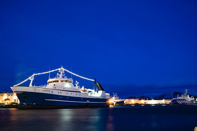 Private Transfer Service From Hotels in Reykjavik to Cruise Ship Terminal - Service Inclusions