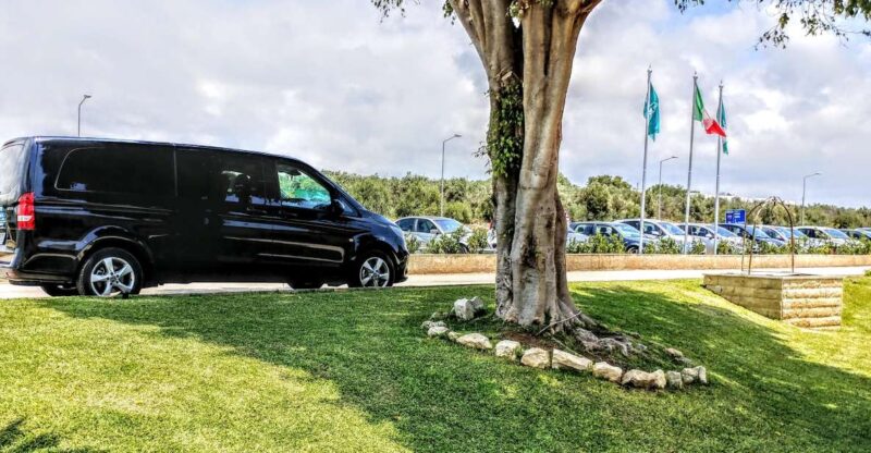 Private Transfer Service From Taormina to Catania - Vehicle and Amenities