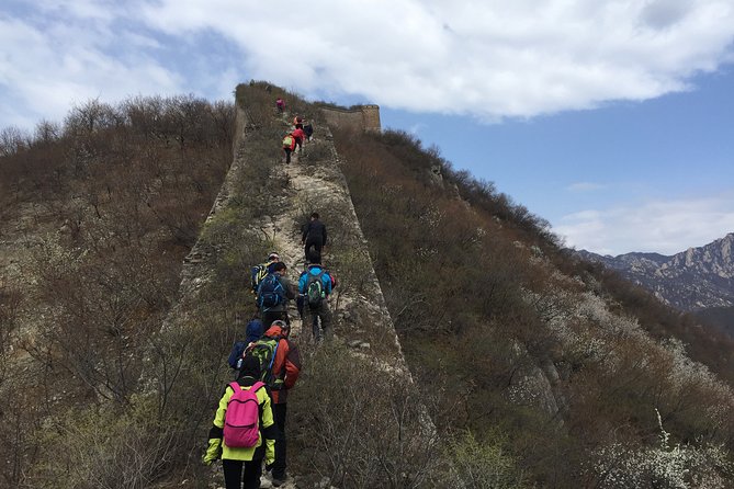 Private Transfer Service: Jiankou Great Wall to Mutianyu Great Wall Hiking Tour - Guest Reviews and Ratings