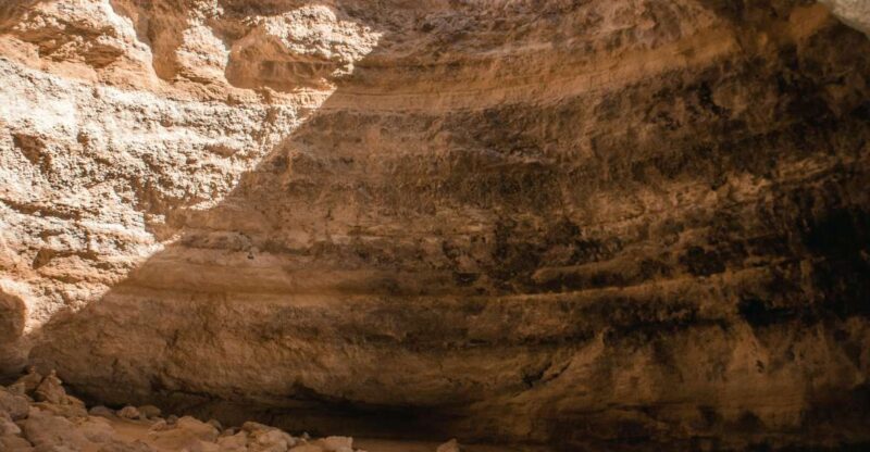 Private Transfer: Seville to Algarve (Faro District) - Vehicle Specifications