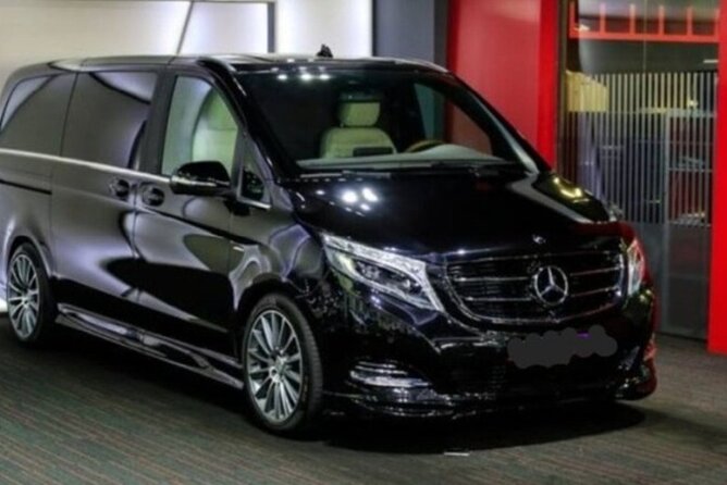 Private Transfer Sorrento Peninsula - Rome - Accessibility Features