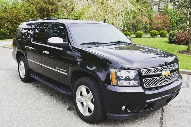private transfer standard and premium punta cana airport / samana / galera - The Details of the Experience