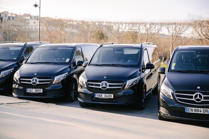 Private Transfer to Disney Land Paris - Accessibility and Accommodation