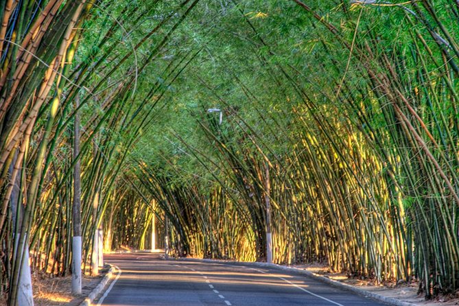 Private Transfer To/From Sauipe Resort by Minivan One Way - Included in Your Transfer