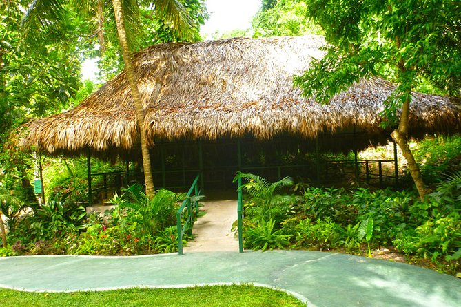 Private Transfer to Konoko Falls Botanical Gardens - About Konoko Falls