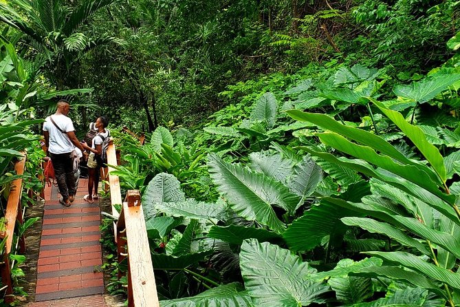 Private Transfer to Konoko Falls Botanical Gardens - Booking and Cancellation