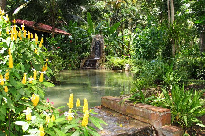 Private Transfer to Konoko Falls Botanical Gardens - Booking Your Stay