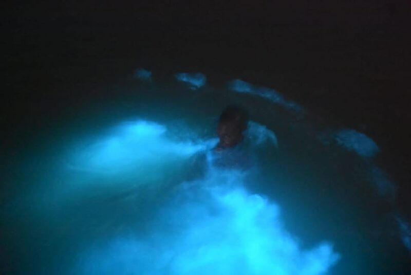 Private Transfer to Luminous Lagoon From Montegobay - Key Points