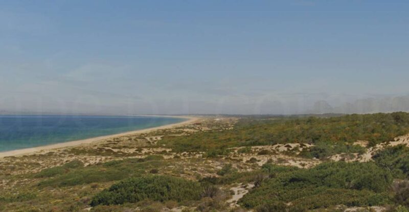 Private Transfer to or From Comporta - Driver and Expertise