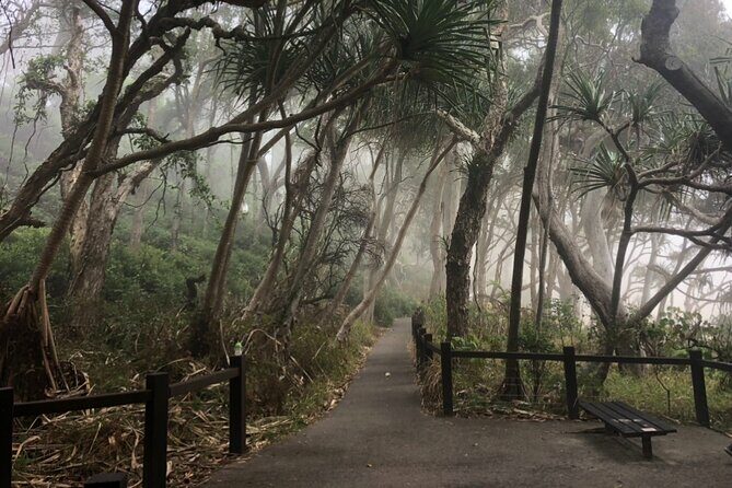 Private Transfer to or from Sunshine Coast Airport (MCY) - Why You Might Choose This Transfer
