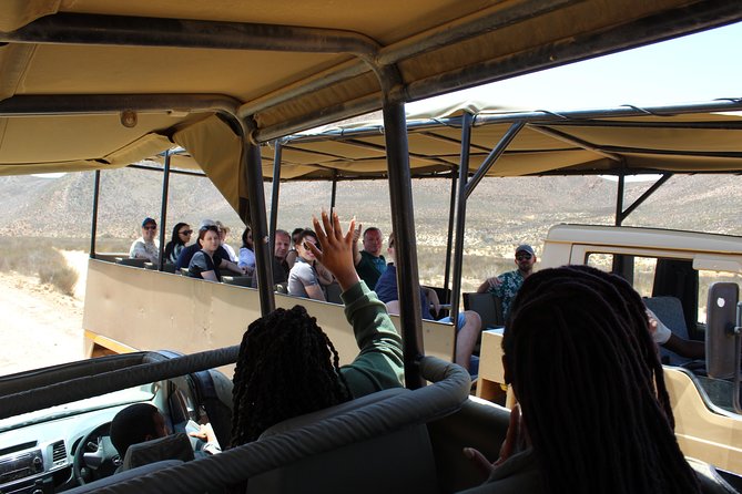 Private Transfer to Safari Big 5 at Aquila From Cape Town Excluding Entry Fees - Optional Safari Activities and Costs