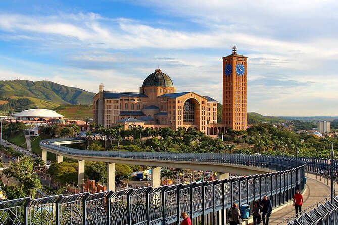Private Transfer to Sao Paulo From the Airport - Accessibility and Additional Info