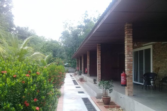 Private Transfer to Taman Negara From Kuala Lumpur - Taman Negara Activities