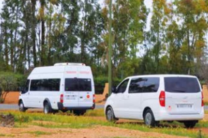 Private Transfer to Tangier City From Airport or Vice Versa - Service Overview